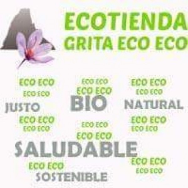 https://www.gijonglobal.es/storage/Ecotienda GritaEcoEco